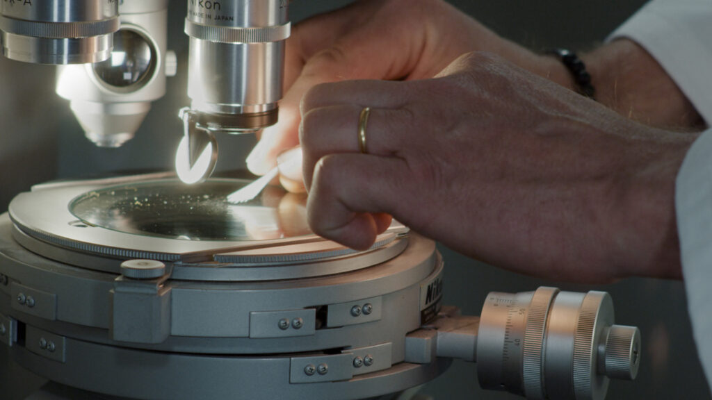 Harjakset tutkitaan mikroskoopilla.